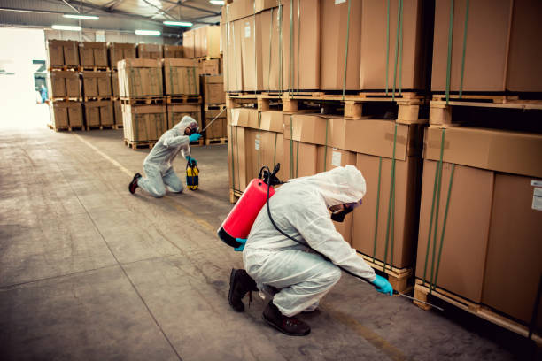 Best Wildlife Control Services  in Soh Jordan, UT