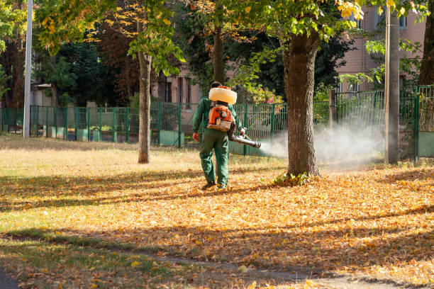 Best Mosquito Control Services  in Soh Jordan, UT