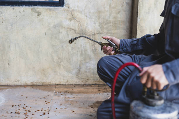 Best Pest Inspection Near Me  in Soh Jordan, UT